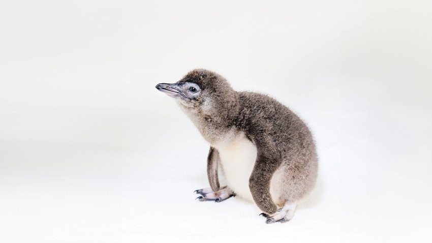 Birch Aquarium at Scripps | Photo: Jordann Tomasek