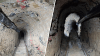 CBP discovers cross-border drug smuggling tunnel under Otay Mesa Port of Entry